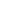 API icon
