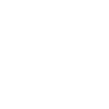 CSS icon