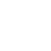 GitHub icon
