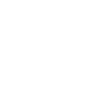 WordPress icon
